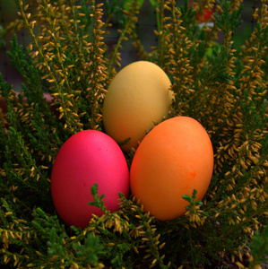 庆祝 传统 复活节 季节 自然 食物 春天 颜色 特写镜头