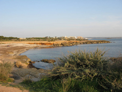 春天 旅行 地中海 海湾 乡村 风景 马洛卡 西班牙 海洋