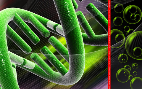 提供 颜色 基因 技术 教育 三维 纹理 绘图 克隆 遗传学