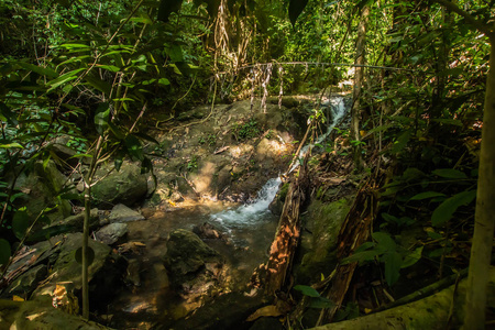 瀑布 假日 地区 风景 旅游业 自然 花园 泰国 落下 商业