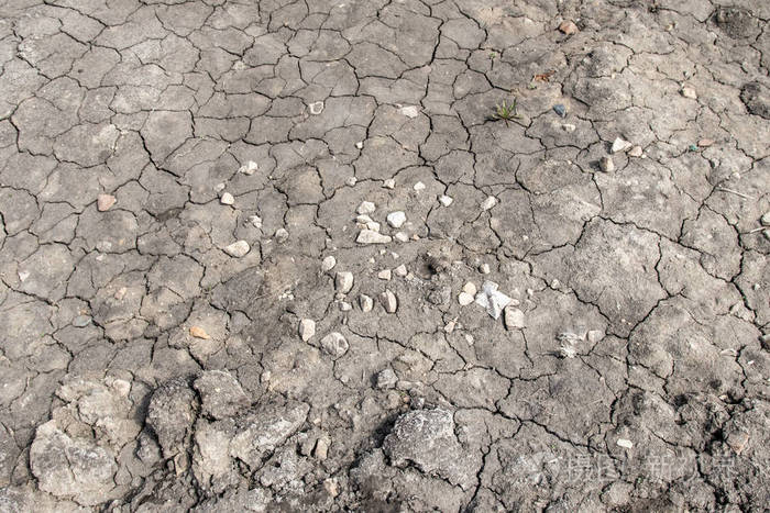 自然 污垢 夏天 地球 裂纹 破裂 土地 环境 纹理 黏土