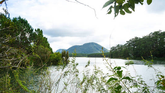 美丽的 旅游业 风景 假期 自然 达拉特 早晨 加拿大 山谷