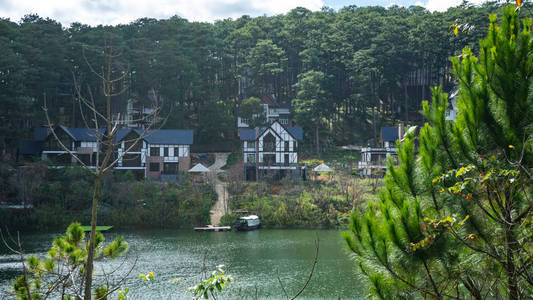 公园 森林 美女 早晨 山谷 达拉特 加拿大 国家的 风景