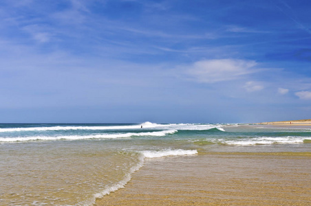 海洋 沙丘 地平线 海滨 苍穹 自然 海滩 假期 天空 夏季