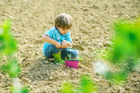 和孩子一起园艺。种花。孩子们在春天的花园里玩耍。让世界变绿。农场上的孩子肖像。