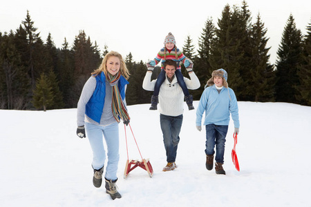 行走 阿尔卑斯山 妈妈 步行 母亲 雪橇 上坡 小孩 牵引