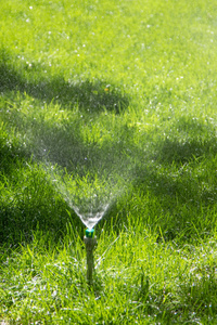 自然 土地 生长 农场 洒水器 花园 技术 浇水 农业 园艺