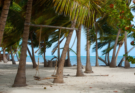 海滩 假期 求助 自然 多米尼加 夏天 绿松石 摆动 棕榈