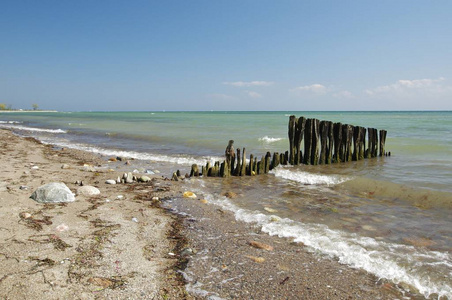 波罗的海 遵守 放松 假期 迁移 享受 假日 缓解 自然