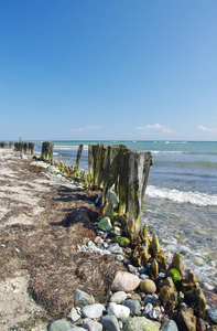波罗的海 享受 疗养 观光者 海洋 海湾 弃儿 放松 自然