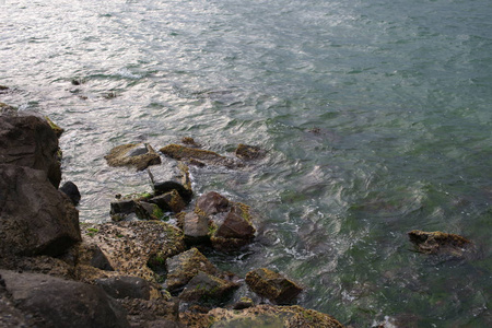 悬崖 海滩 日出 波浪 天空 美女 俄勒冈州 海岸 土壤