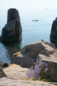 海湾 海岸线 纹理 岩石 阳光 海岸 美女 物体 风景 假期