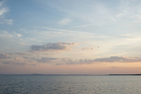 爱沙尼亚 颜色 太阳 海岸 自然 傍晚 地平线 美丽的 假期