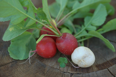 健康 食物 素食主义者 特写镜头 蔬菜 植物 小萝卜 营养