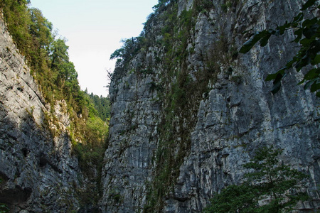 天空 旅行 旅游业 岩石 悬崖 风景 森林 自然 夏天