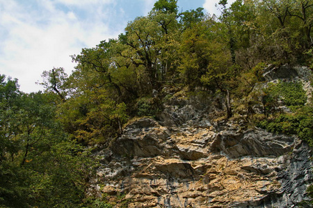 悬崖 天空 森林 旅行 自然 岩石 旅游业