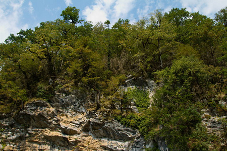 森林 天空 岩石 悬崖 旅游业 旅行 自然