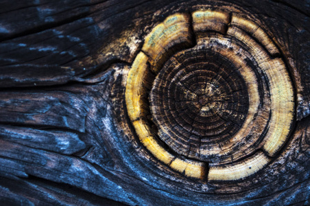 Stylish old wood backdrop with l knots on it  