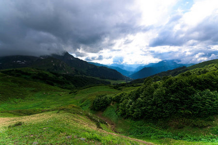 阿尔卑斯山脉全景。山地旅游。高加索山脉。夏季山景。鲜花，蓝天，新鲜空气