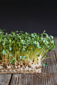 Closeup of Daikon microgreens with seeds and roots on the Jute 