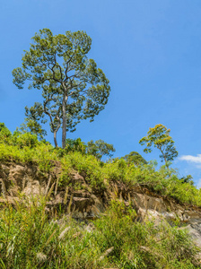 岩石 森林 自然 风景 地质 悬崖 天空