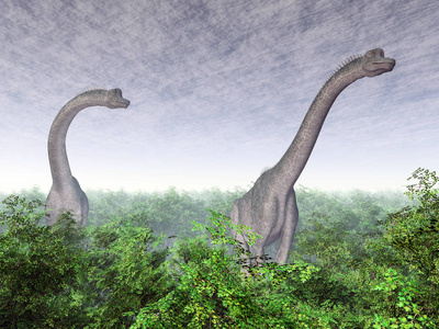 食草动物 爬行动物 腕龙 插图 古生物学 巨人 动物 极端