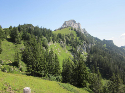 旅行 阿尔卑斯山 草地 天空 小山 自然 徒步旅行 旅游业