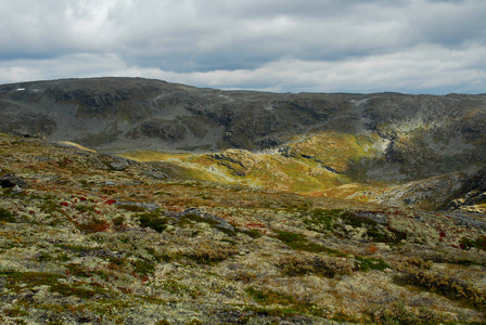 欧洲 草地 斯堪的纳维亚 挪威 岩石 自然 石头 秋天 苍穹