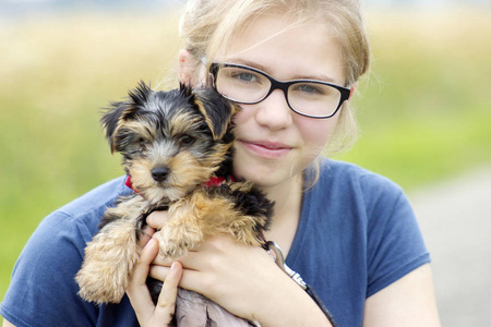 约克郡 约克 玻璃杯 猎犬 友谊 童年 犬科动物 纯种 青少年