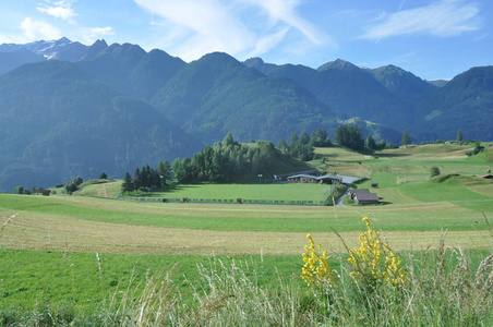 风景 阿尔卑斯山 自然 乡村 建筑 蒂罗尔 房子 领域 拳头