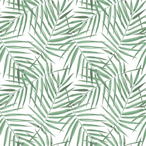 奇异棕榈树的无缝图案。白底绿叶水彩。热带树叶。