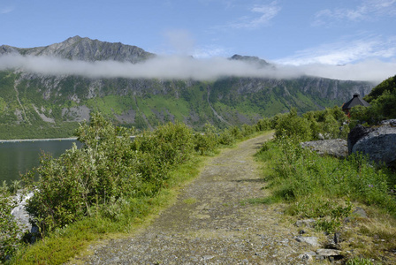 挪威 路面 灌木 自然 在里面 乡村 天空 峡湾 闪耀 海岸