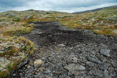 挪威 岩石 水床 草坪 植物 苍穹 挪威语 高地 秋天 石头