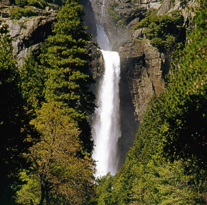 约塞米蒂 自然 森林 加利福尼亚 植物 植物区系 瀑布