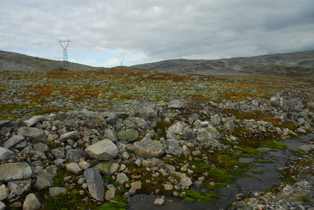 苔藓 秋天 自然 水域 桅杆 草坪 天空 草地 欧洲 挪威