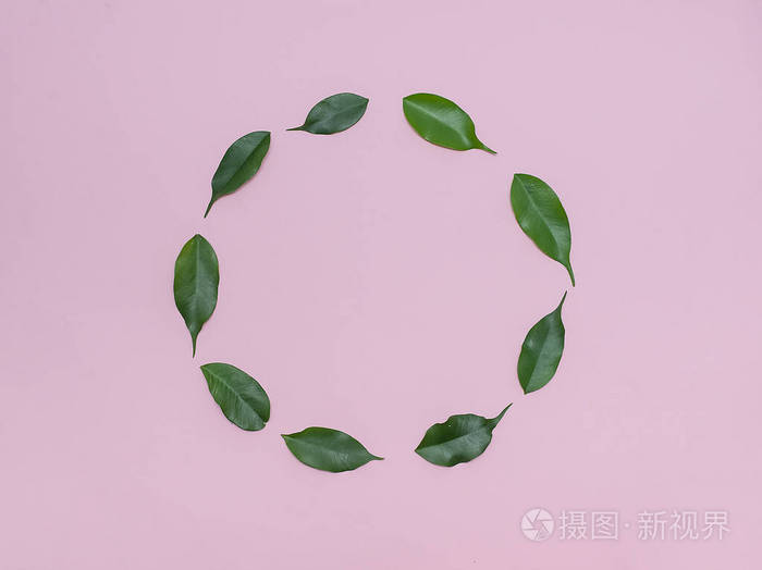 绿色环保的叶子圆形粉色背景用于设计图标和录音