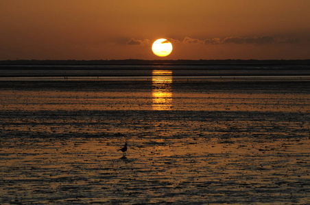 傍晚 瓦特 太阳 海洋 闪耀 阳光 浪漫的 日落 自然