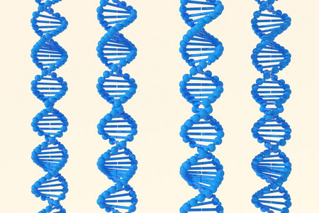 三维 染色体 生物化学 微生物学 研究 科学 人类 健康