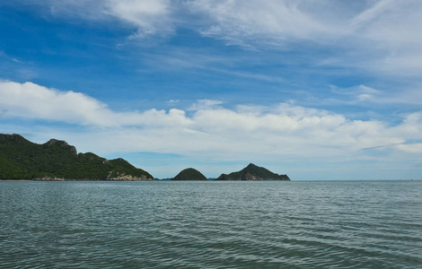 森林 国家的 风景 自然 植物 旅行 石灰石 美丽的 天空