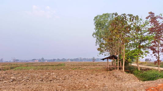 旅行 大米 农场 照片 自然 形象 亚洲 天际线 季节 土地