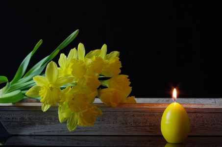 聚会 复活节 植物 水仙 蜡烛 庆祝 鸡蛋 花束 狂欢 水仙花