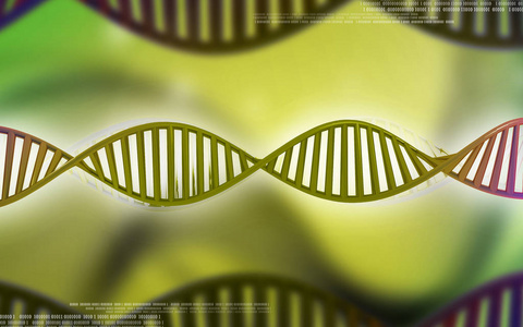 教育 纹理 想象 细胞 染色体 基因 技术 克隆 遗传学