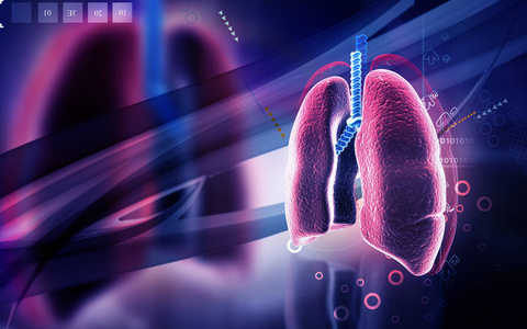 射线 胸部 教育 组织 纹理 颜色 净化 生命体征 呼吸系统