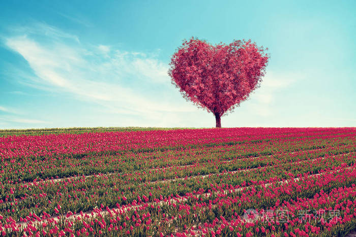 蓝天下心形树抽象的田野美丽的自然情人节概念背景