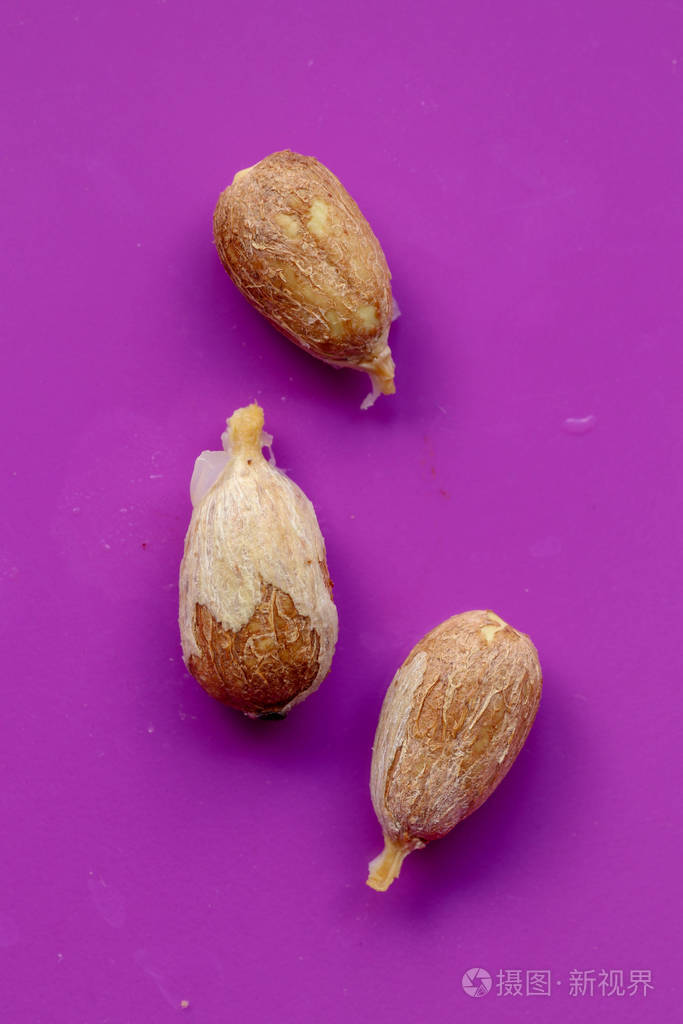紫背上分离出的几片新鲜红毛丹种子