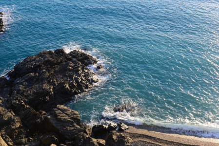 自然 棕榈树 天堂 西班牙 海洋