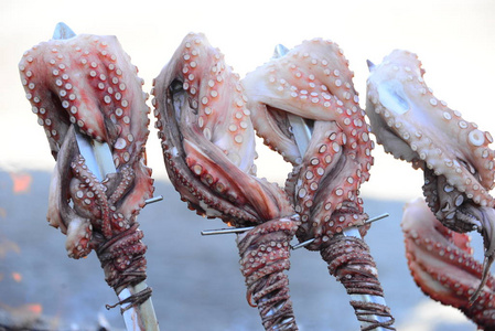 鱿鱼 动物 海鲜 吸烟 食物 章鱼 美味的 烹饪 海的 市场