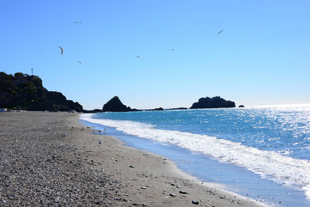 西班牙 海洋 飞行 苍蝇 地中海