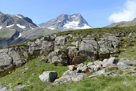 提示 乡村 阿尔卑斯山 奥地利人 刀片 高的 自然 风景