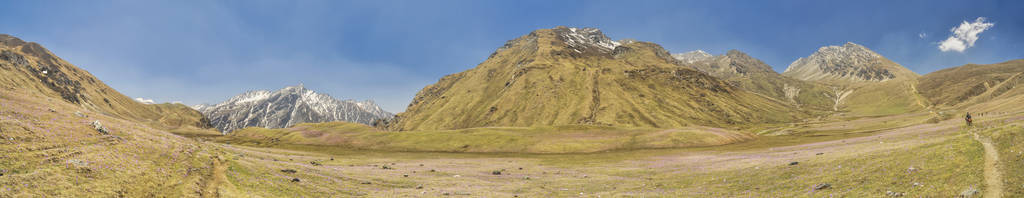 草地 山谷 风景 全景图 高的 尼泊尔人 宽的 美女 喜马拉雅山脉
